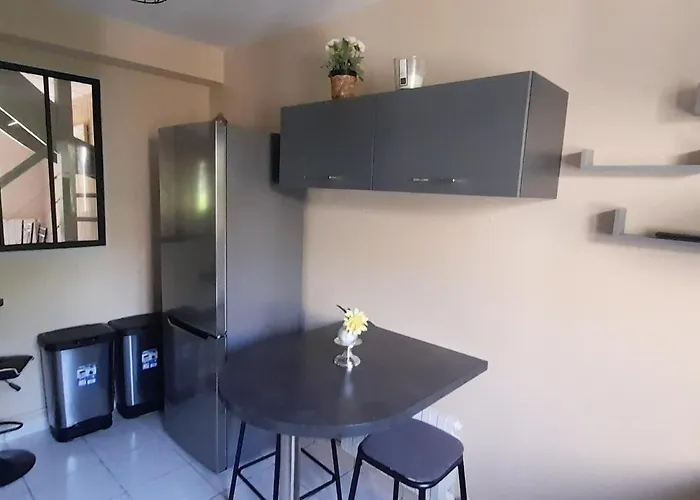 Spacious House Close To Schools And Hospital Ferienhaus Mignaloux-Beauvoir